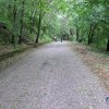 28 rally della marca_17